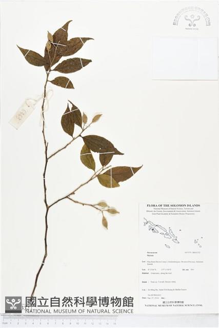 登錄號:BS05332藏品圖，第1張
