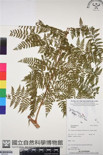 登錄號:BP03332藏品圖，第1張