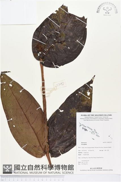 登錄號:BS03332藏品圖，第1張