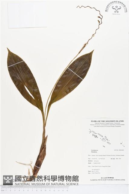 登錄號:BS01820藏品圖，第1張