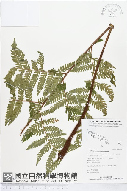登錄號:BP01020藏品圖，第1張