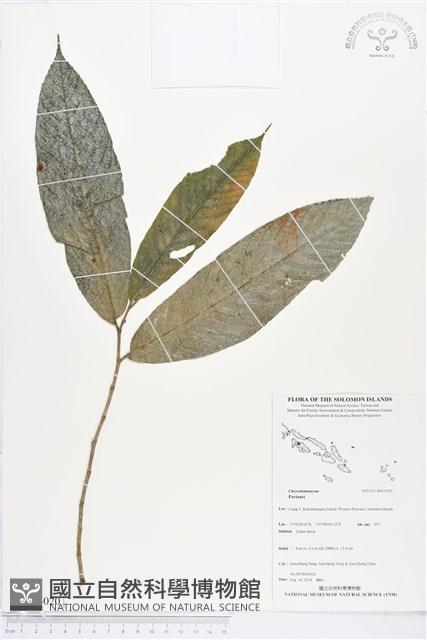 登錄號:BS05020藏品圖，第1張