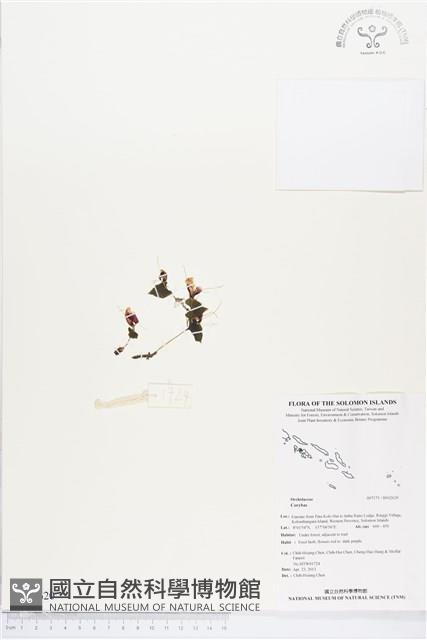 登錄號:BS02620藏品圖，第1張