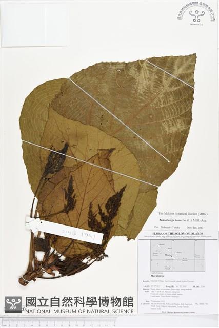登錄號:BS01620藏品圖，第1張