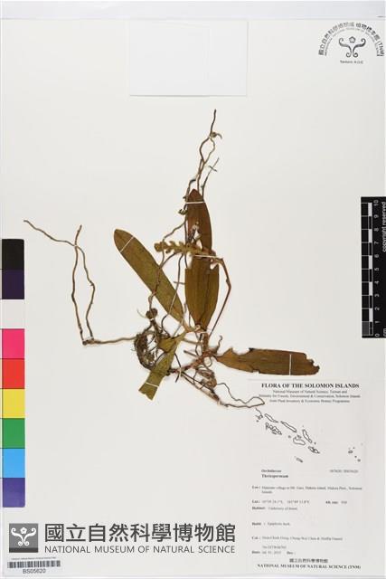 登錄號:BS05620藏品圖，第1張