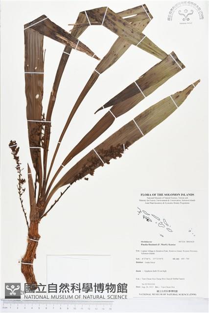 登錄號:BS03620藏品圖，第1張