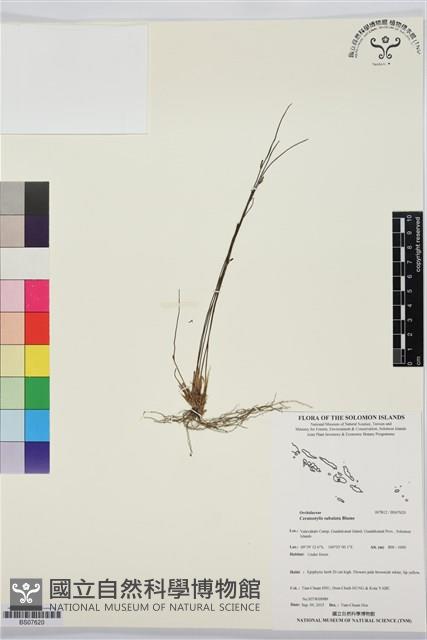 登錄號:BS07620藏品圖，第1張