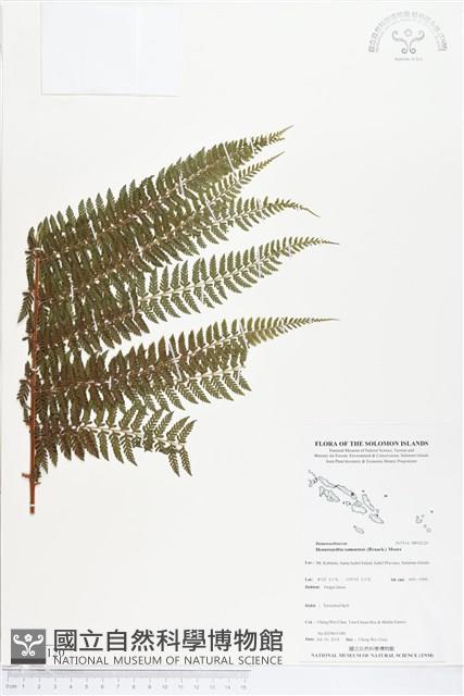 登錄號:BP02120藏品圖，第1張