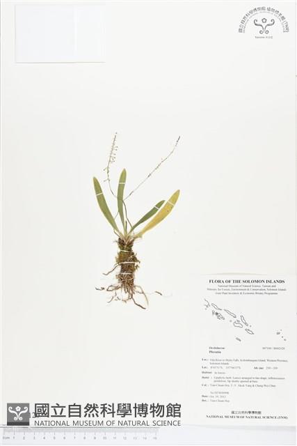 登錄號:BS02120藏品圖，第1張