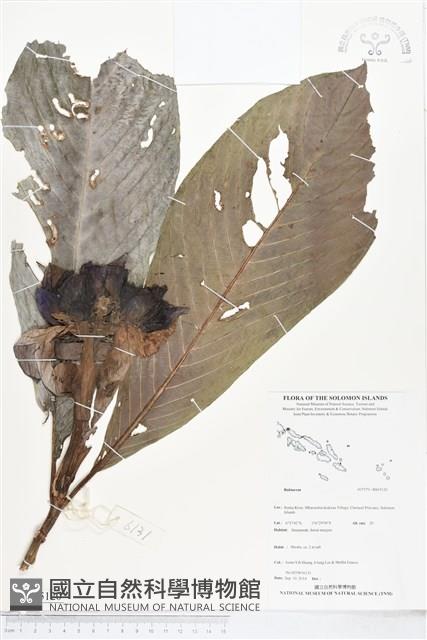 登錄號:BS05120藏品圖，第1張