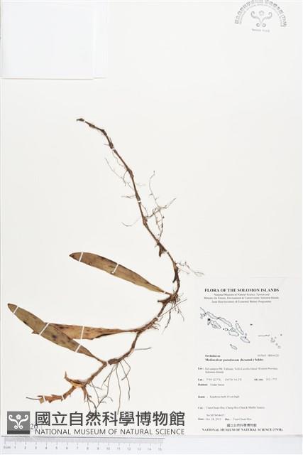 登錄號:BS04120藏品圖，第1張