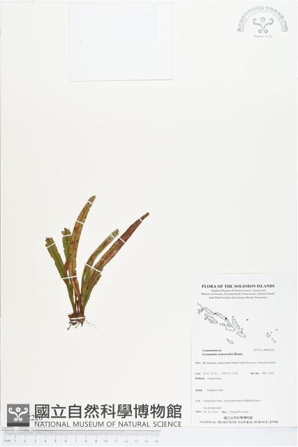 登錄號:BP02220藏品圖，第1張