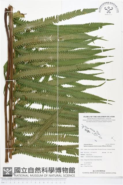 登錄號:BP00220藏品圖，第1張