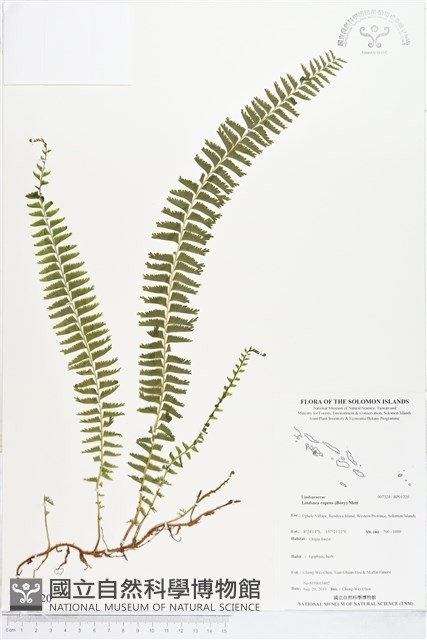 登錄號:BP01220藏品圖，第1張