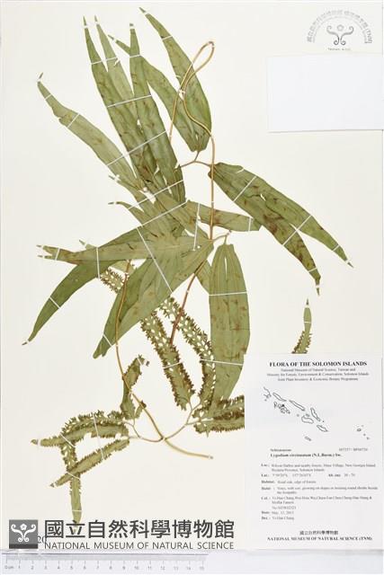 登錄號:BP00720藏品圖，第1張