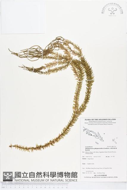 登錄號:BP01720藏品圖，第1張