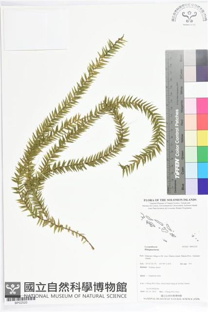 登錄號:BP02520藏品圖，第1張