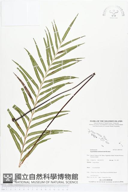 登錄號:BP01520藏品圖，第1張