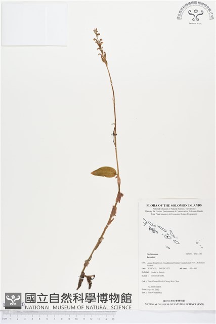 登錄號:BS01520藏品圖，第1張