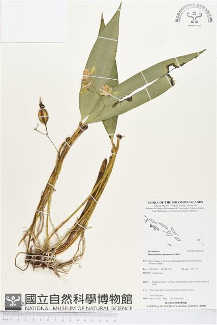 登錄號:BS03520藏品圖，第1張