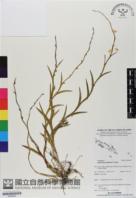 登錄號:BS06920藏品圖，第1張