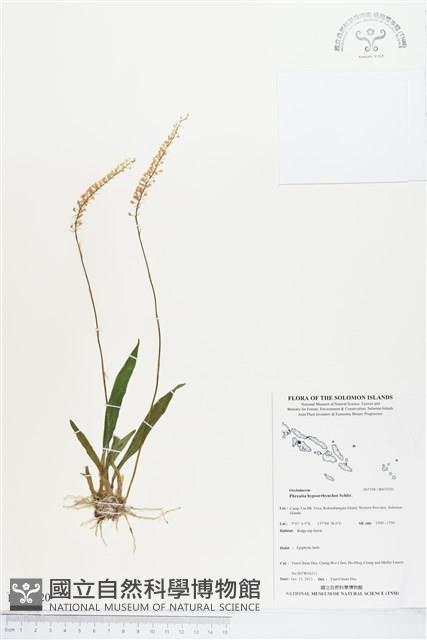 登錄號:BS03920藏品圖，第1張