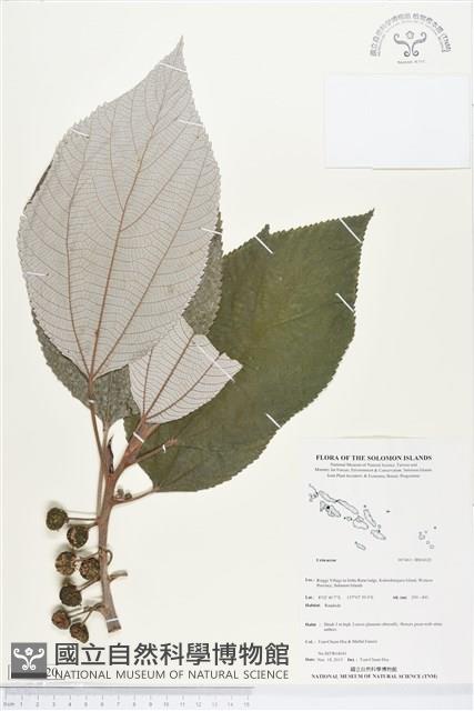 登錄號:BS04320藏品圖，第1張