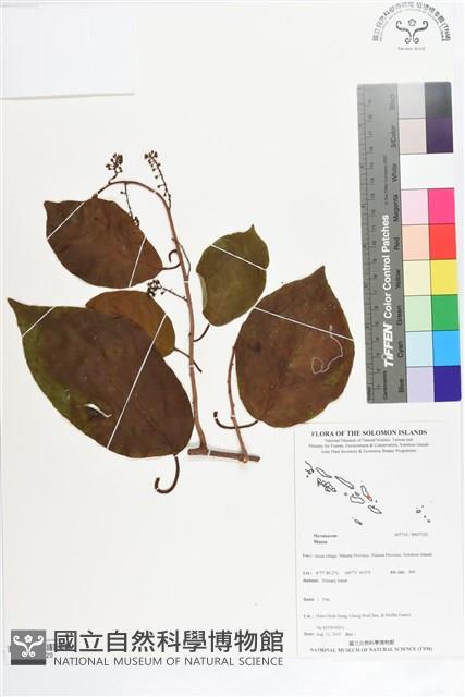 登錄號:BS07320藏品圖，第1張