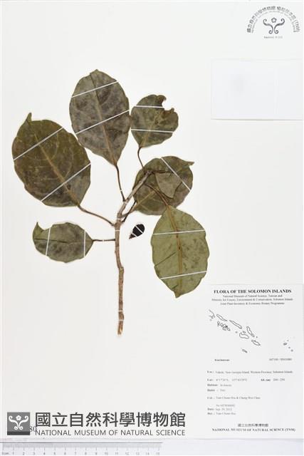 登錄號:BS01880藏品圖，第1張