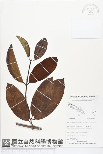 登錄號:BS04880藏品圖，第1張