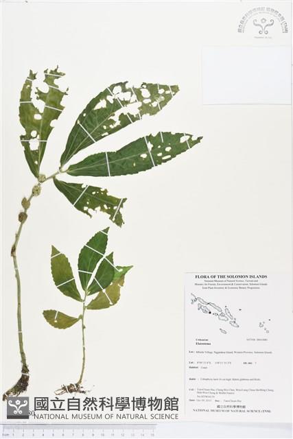 登錄號:BS03880藏品圖，第1張