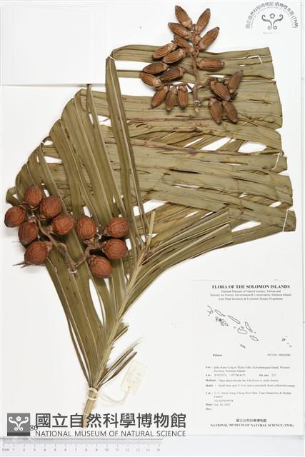 登錄號:BS02080藏品圖，第1張