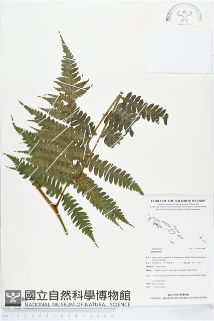 登錄號:BP01080藏品圖，第1張