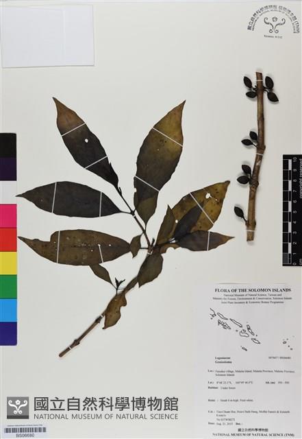 登錄號:BS06680藏品圖，第1張