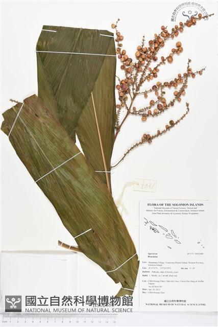 登錄號:BS02680藏品圖，第1張