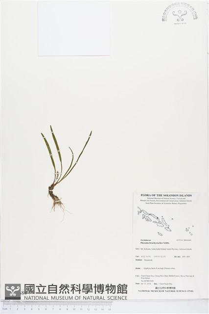 登錄號:BS04680藏品圖，第1張