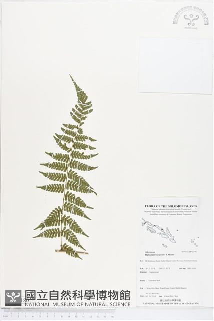 登錄號:BP02180藏品圖，第1張