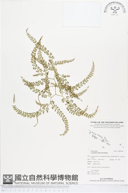 登錄號:BP00180藏品圖，第1張