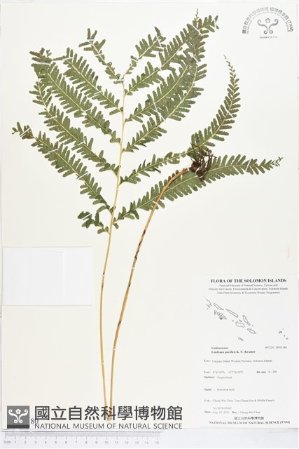 登錄號:BP01180藏品圖，第1張