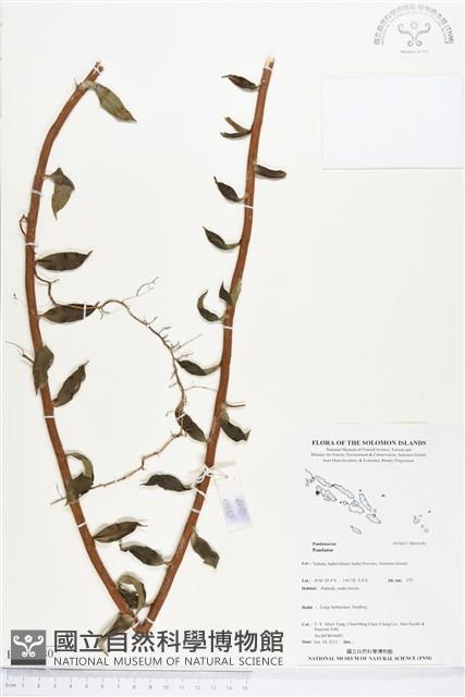 登錄號:BS04180藏品圖，第1張