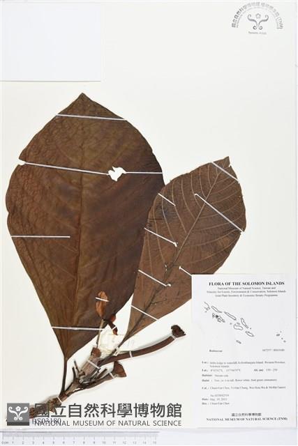 登錄號:BS03180藏品圖，第1張