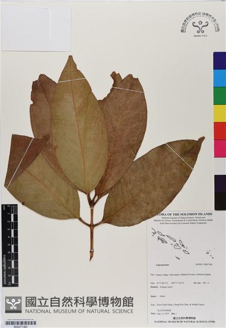 登錄號:BS07180藏品圖，第1張