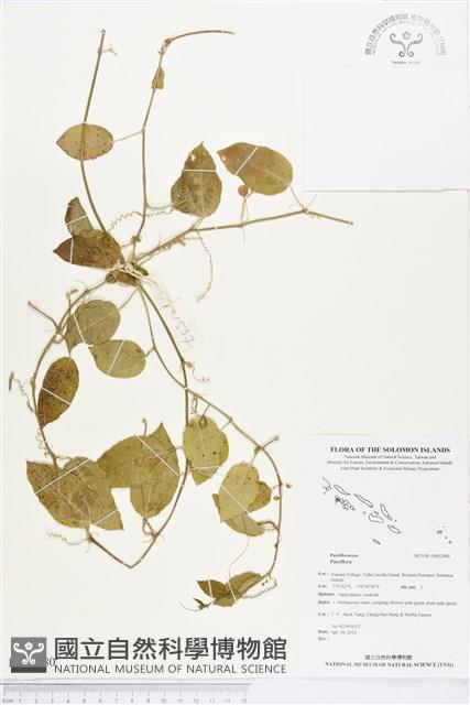 登錄號:BS02480藏品圖，第1張