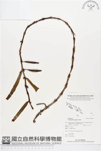 登錄號:BS01480藏品圖，第1張