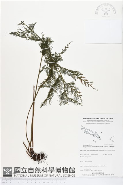 登錄號:BP02280藏品圖，第1張