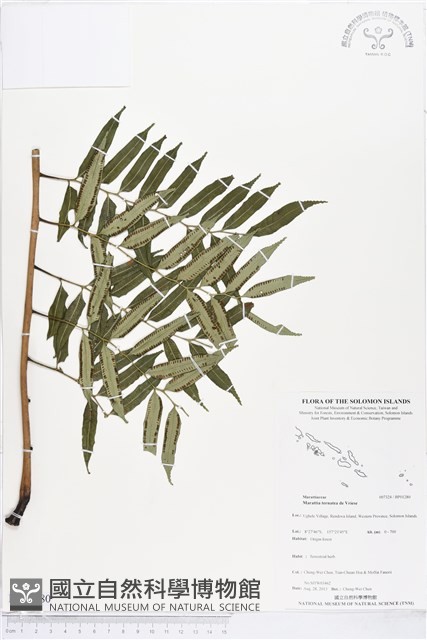 登錄號:BP01280藏品圖，第1張