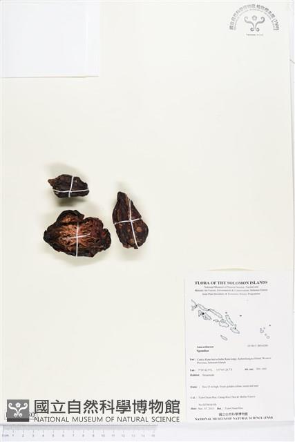 登錄號:BS04280藏品圖，第1張