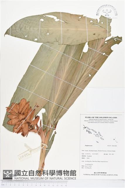 登錄號:BS03280藏品圖，第1張
