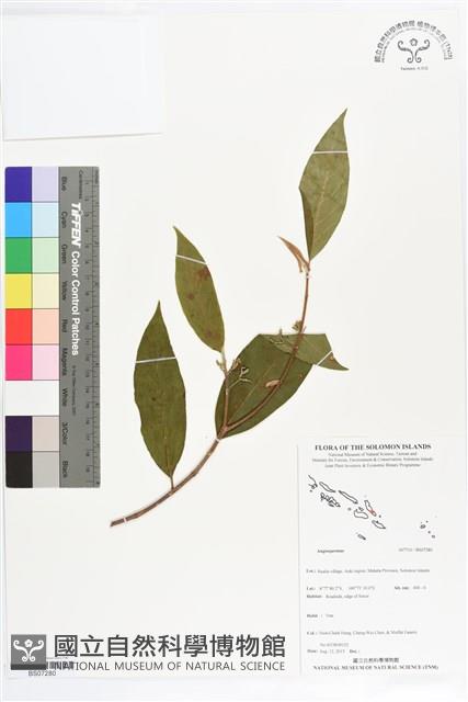 登錄號:BS07280藏品圖，第1張