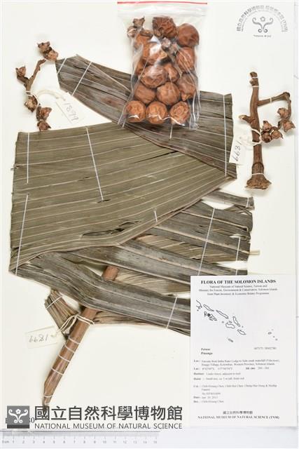 登錄號:BS02780藏品圖，第1張